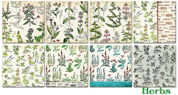 Paberiplokk Herbs - Image 2