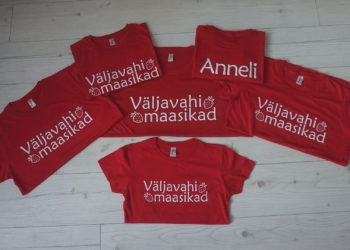 Triigitav kleebis T-särkidel